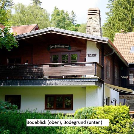 Ferienwohnungen Forellengrund Schierke Εξωτερικό φωτογραφία